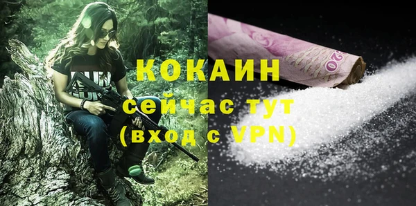 a pvp Гусев