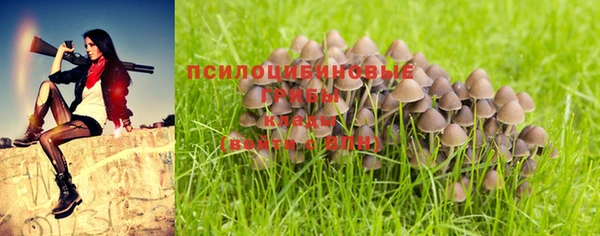 mdma Гусь-Хрустальный