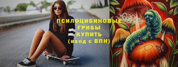 mdpv Гусиноозёрск