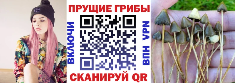 Купить закладки  Фурманов  Галлюциногенные грибы мухоморы 